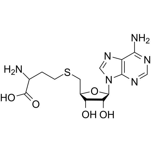 SARS-CoV-2-IN-76 (S-Adenosyl-DL-homocysteine) 58976-18-4